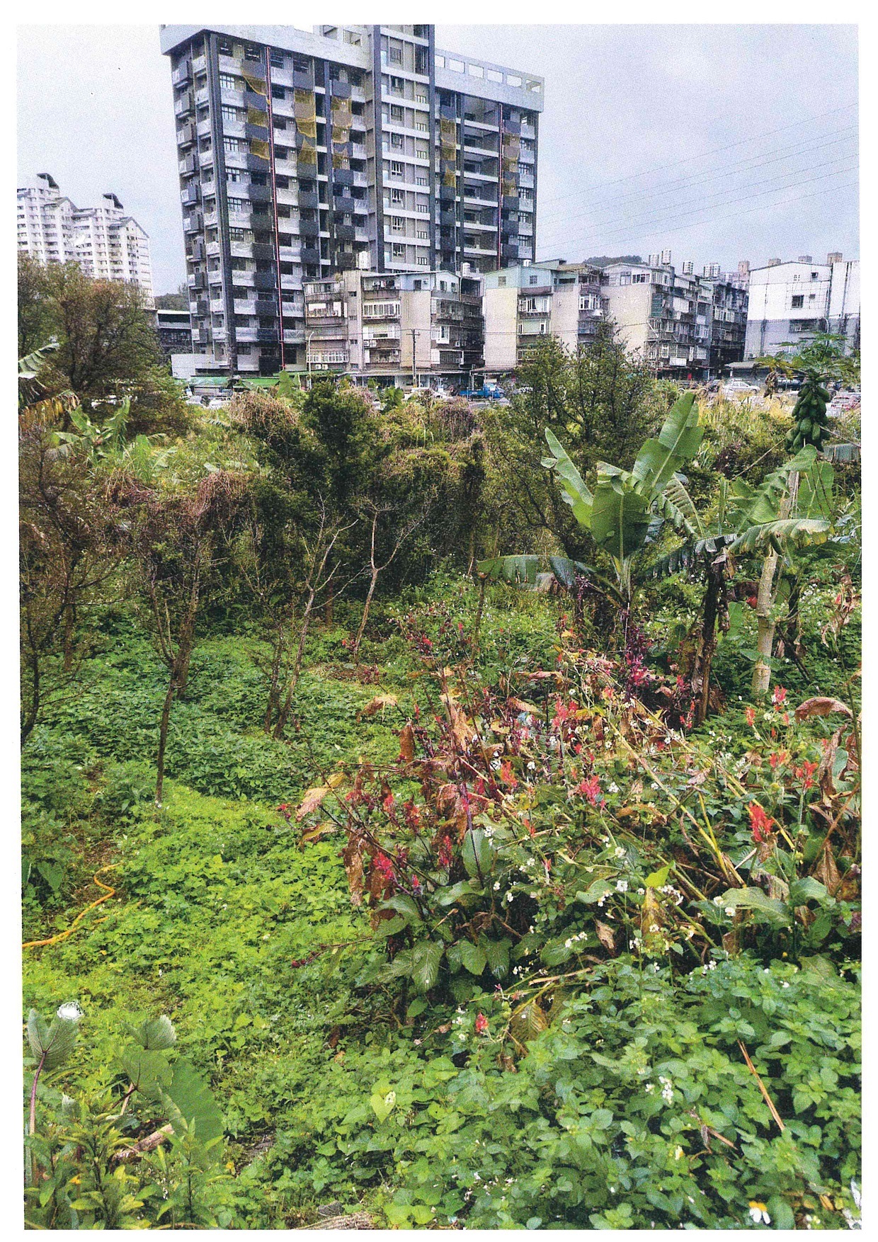 士林分署拍定臺北市南港區土地