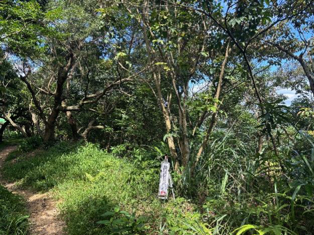 中和區雜木林由臺北國稅局以底價255萬6,700元承受。